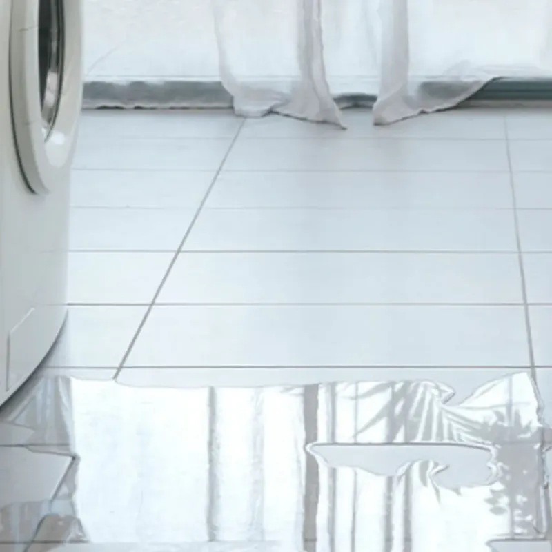 Appliance Leak Cleanup in West Athens, CA